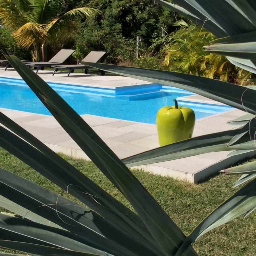 Anse-Bertrand Gite Les Jardins D'Enoha מראה חיצוני תמונה